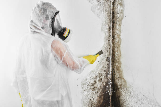 Best Emergency Mold Removal  in Newton, TX