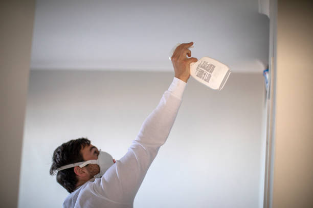 Best Best Mold Removal Companies  in Newton, TX