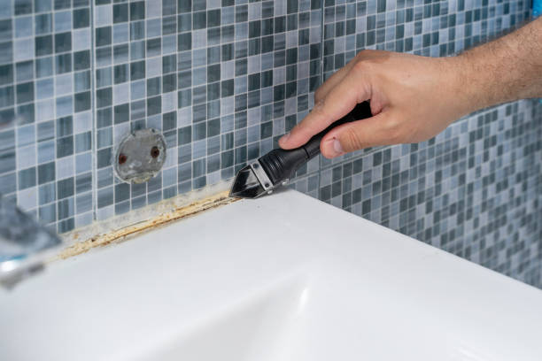 Best Best Mold Removal Companies  in Newton, TX