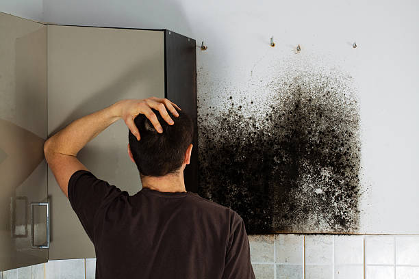 Certified Mold Removal in Newton, TX